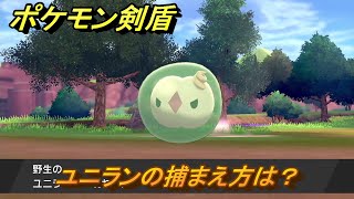 ポケモン剣盾　ユニランの出現場所は？オススメの場所は？天気は？ポケモン図鑑コンプへの道！　最新版【ポケモンソード・シールド】