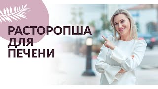 ПОЛЬЗА РАСТОРОПШИ. Расторопша для печени.