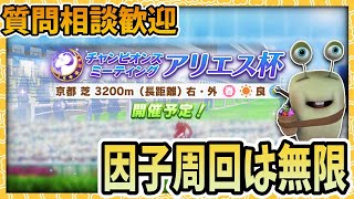 【ウマ娘】因子周回に終わりはない！概要欄にチャンミメモ！質問相談歓迎！【田中くぅすけ】#ウマ娘プリティーダービー