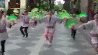 ２０１３青葉区民まつり　流し踊り１ 　岩切かむり会