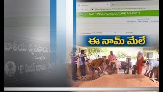 Jaikisan TS | 29th July'19 | ఈ నామ్ బాగుందంటున్నసూర్యాపేట రైతులు