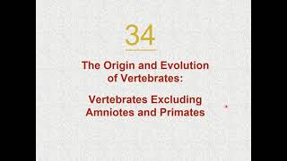Chapter 34 Vertebrates