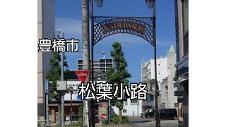 【一華総観】【愛知県豊橋市】繁華街にある松葉小路