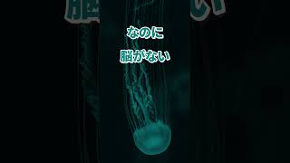 【10秒でわかる雑学】クラゲには実は心臓も脳もない！？