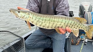 fishing report for south / southeast Wisconsin. Musky fishing!