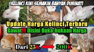 Terbaru!!! Review Jenis Kelinci Dan Harga Kelinci Versi Peternak Pemula