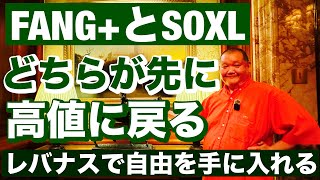 FANG+とSOXLどちらが先に高値に戻る😤2024/9/14（土）大人の遊びしょうじゃないか!現物米株取引は大人の嗜みです😇