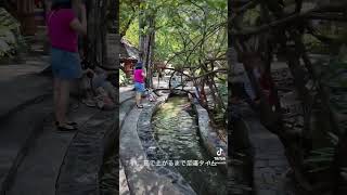 【🇹🇭チェンマイひとりっぷ】チャンマイ郊外にある温泉施設。てか、もう公園。公園内を流れてるもは川でなくて温泉です。足湯もできるし、温泉卵も作れるよ