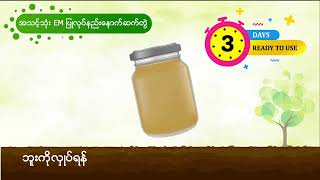 SA4D-SS-MFT အသင့်သုံး EM(အကျိုးပြုအဏုဇီဝ)ပြုလုပ်နည်း