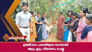 ഉജ്ജീവനം പദ്ധതിയുടെ ഭാഗമായി ആടും കൂടും വിതരണം ചെയ്തു