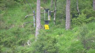 Blinktroll Moving Target system training