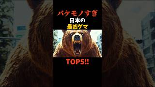 【怪物】日本の最凶クマTOP5#shorts