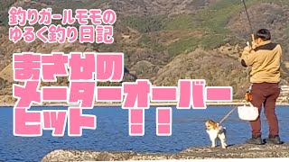 泳がせ釣り　西伊豆の釣り　ネンブツダイを釣って泳がせ釣りをしたらメーターオーバーが釣れた！釣りガールモモのゆるく釣り日記　2021年12月