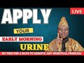 Apply Your Early Morning Urine To get Rid Of Spiritual Attack In Just 3 Days.