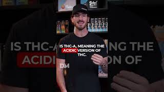 What is THCA?