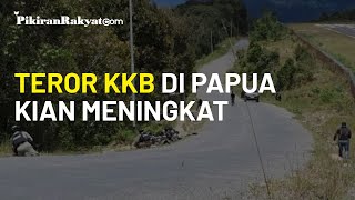 Teror KKB di Papua Kian Meningkat, Ganggu Warga secara Psikologis serta Ancam Pesawat yang Melintas