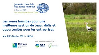 Webconférence OiEau - Zones humides et entreprises, pour une meilleure gestion de l'eau