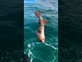 a rare beautiful fish🐳 that you never ever seen before she wants to go her world 🌍 shorts viral