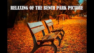 Relaxing of the bench park picture