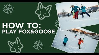 How To Play: Fox & Goose!