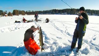 Isfiske etter Gjedde og Krøkle på Lyseren