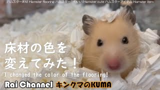 ハムスターケージ床材変更後の様子【かわいいハムスター】キンクマ観察