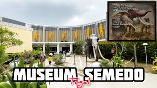 Update..!! MUSEUM SEMEDO TEGAL #museum #manusiapurba #fosil #wisataedukasianak #wisataedukasi #tegal