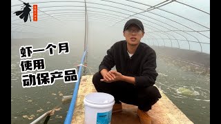 虾苗一个月都需要用到哪些动保产品？其实没那么复杂！