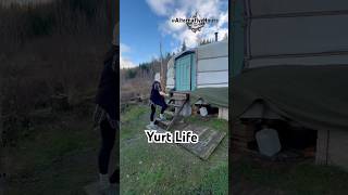 Living Full-Time in a Yurt: Her Unique Life in Northern Europe