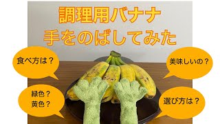 【ともさまがえるpresents　食レポ　調理用バナナ】購入にちょっと戸惑うあなたに！