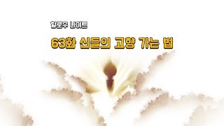 [할로우나이트] 63화 신들의 고향 가는 법