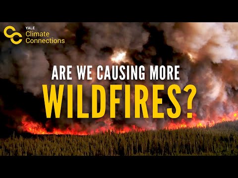 Are We Causing More Wildfires Yale Climate Connections