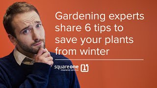 6 Tips for Revitalizing Your Garden after Winter