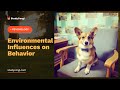 environmental influences on behavior research paper example