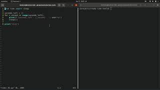 Intro to Python chapter 2.2, Building a timer