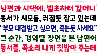 (반전신청사연)남편과 시댁 벌초하러 갔더니, 동서가 시모를 훈계하고 있는데 \