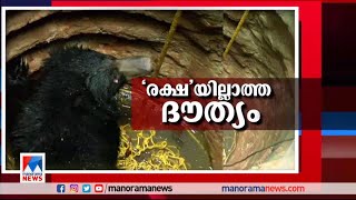 വനംവകുപ്പ് ഉദ്യോഗസ്ഥര്‍ക്ക് ഗുരുതരമായ വീഴ്ചയുണ്ടായെന്ന് മന്ത്രി ​| AK Saseendran