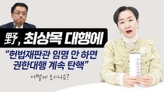 野, 최상목 대행에 \