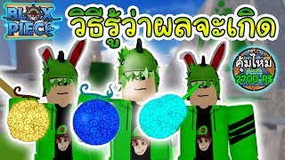 Roblox One Piece Grand Trial Ep2 Devil Spawn ผลป ศาจได เก ดแล ว - Roblox One Piece Legendary อ พเดทผลไม ป ศาจใหม ผล Gura Gura No Roblox One Piece Legendary อ พเดทผลไม ป ศาจใหม ผล Gura Gura No - Roblox One Piece Grand Trial Ep2 Devil Spawn ผลป ศาจได เก ดแล ว