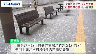 カラスの大群でふん害多発　住民も困惑　宮城・石巻　（20210303OA）