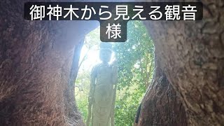 神秘的！霊木の穴から見える観音様  笠森観音  笠森寺 パワースポット 子授け 子授観音