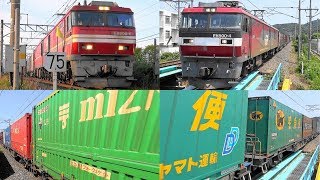 2019,7,10 貨物列車いろいろいっぱい15本 大迫力モーター音と高速ジョイント音‼汽笛‼ 警笛鳴らし青森を爆走する高速貨物列車たち ミツカン赤と緑2個載せとDDヤマトも登場します^^