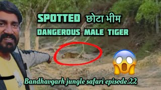 जंगल का राजा आराम कर रहे है।🐅😰#bandhavgarh #jungle #safari #episode no.22#wildlife #tiger #india