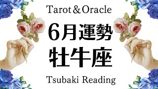 ６月の牡牛座、最高の出逢い。大丈夫すべて報われるから。理想郷へ突き進む。不安解消！６月全体運勢♉️仕事恋愛対人[個人鑑定級タロットヒーリング2024]