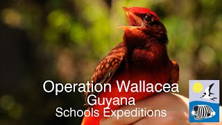 Operation Wallacea - Guyana Schools Expeditions