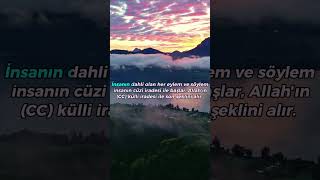 İnsan İradesi ve Allah’ın Kudreti Üzerine Derin Bir Bakış #Tasavvuf #İslamFelsefesi #Allah