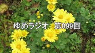 第899回　シラー　人間の美的教育について　2017.11.12