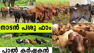 നാടന്‍  പശു  ഫാം  /  Cow farm