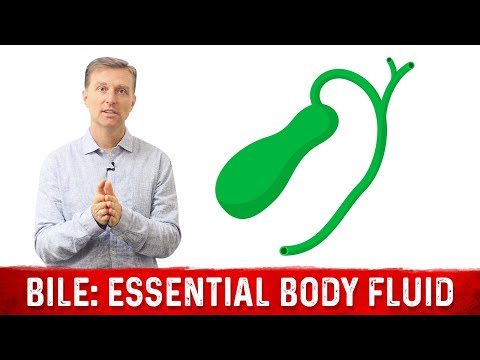 BILE: A Vitally Important Body Fluid BILE: A Vitally Important Body Fluid