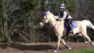 WHO FELL OFF!  POPCORN AND FIFI GO GALLOPING! Check it out